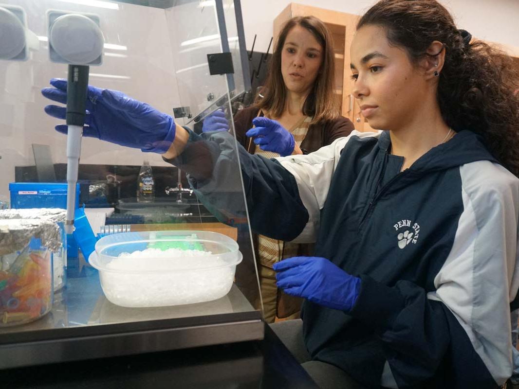 A student wearing rubber gloves reaching into a clear plastic casing inside a biology laboratory with a female professor overseeing.