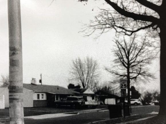 Black and white image of houses and trees