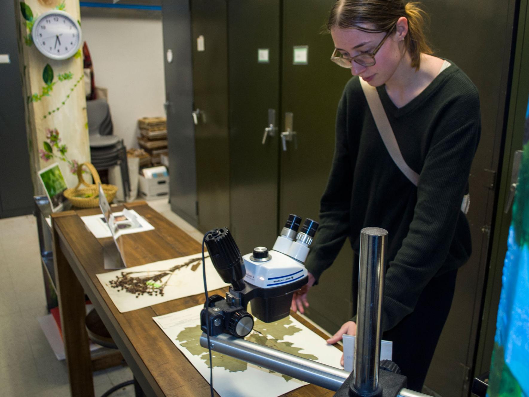 A female student in a green sweater leans down toward a microscope, set up on several pressed plant samples.