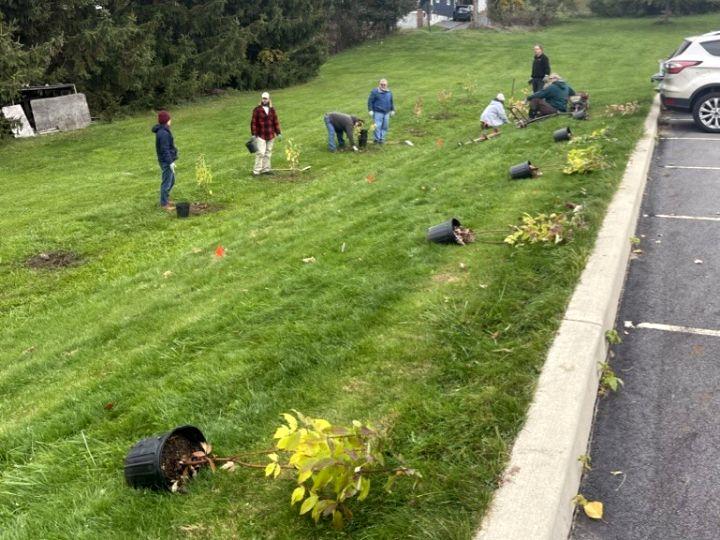 Master Watershed Stewards install live-stake nursery in Luzerne County