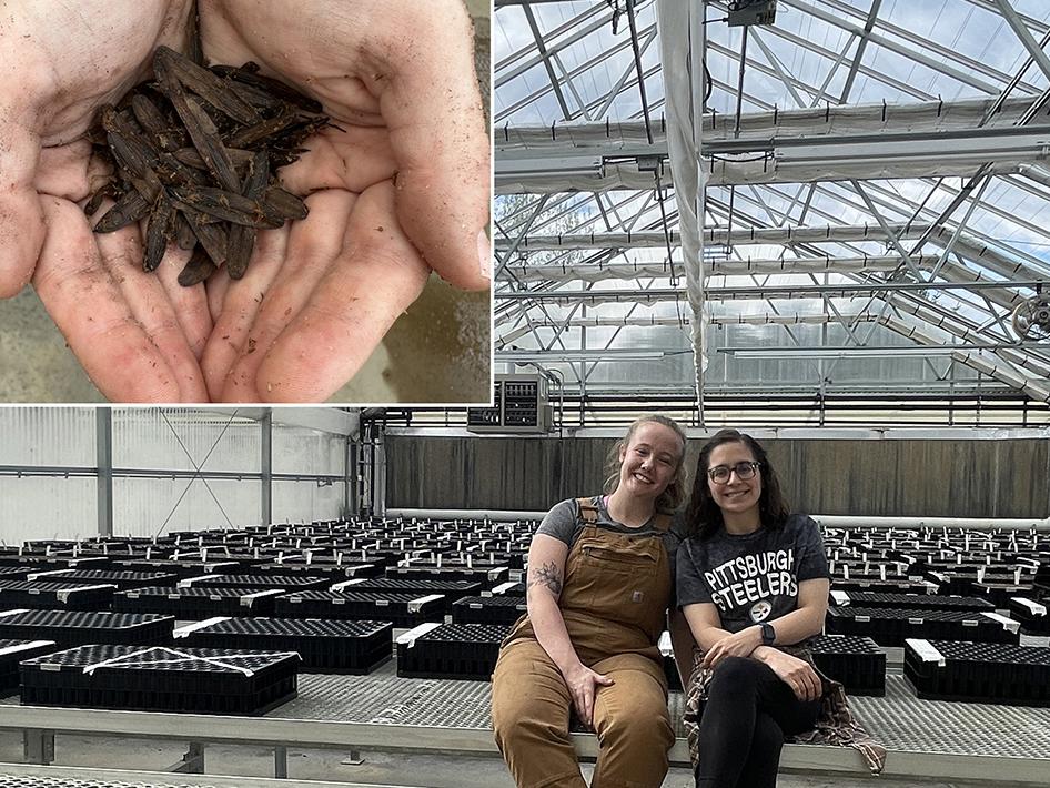 seeds and researchers
