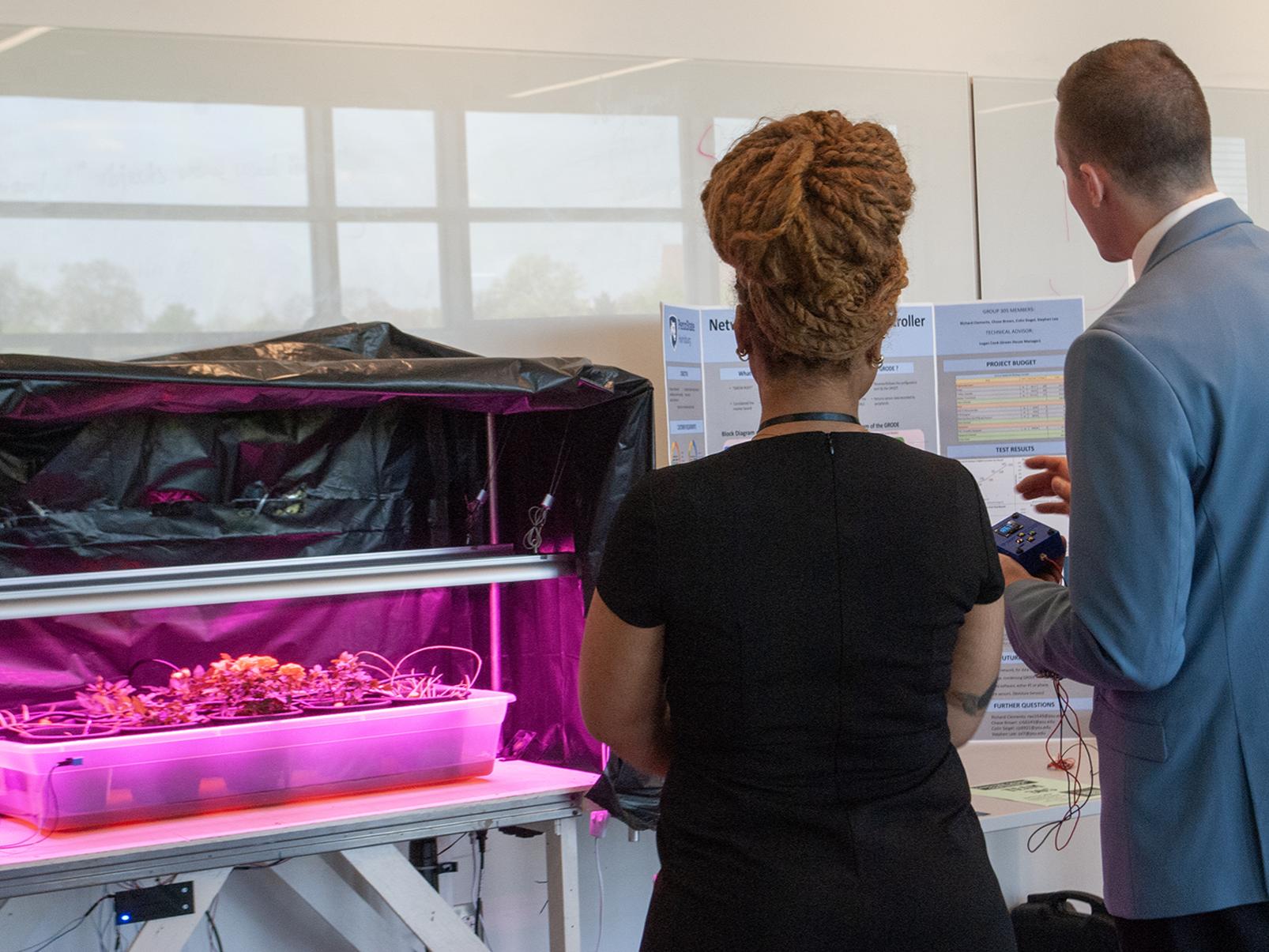 Two people look at a research poster next to a tray of plants under a pink light
