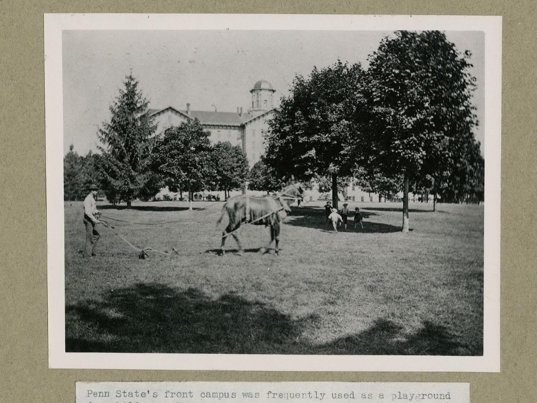 A picture of a man using a horse-drawn mower in the 1800s