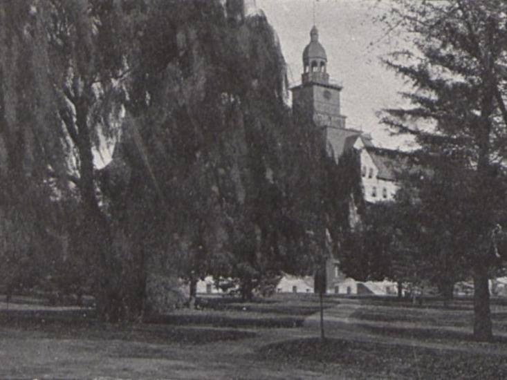 A large willow tree in front of a college building c. 1899