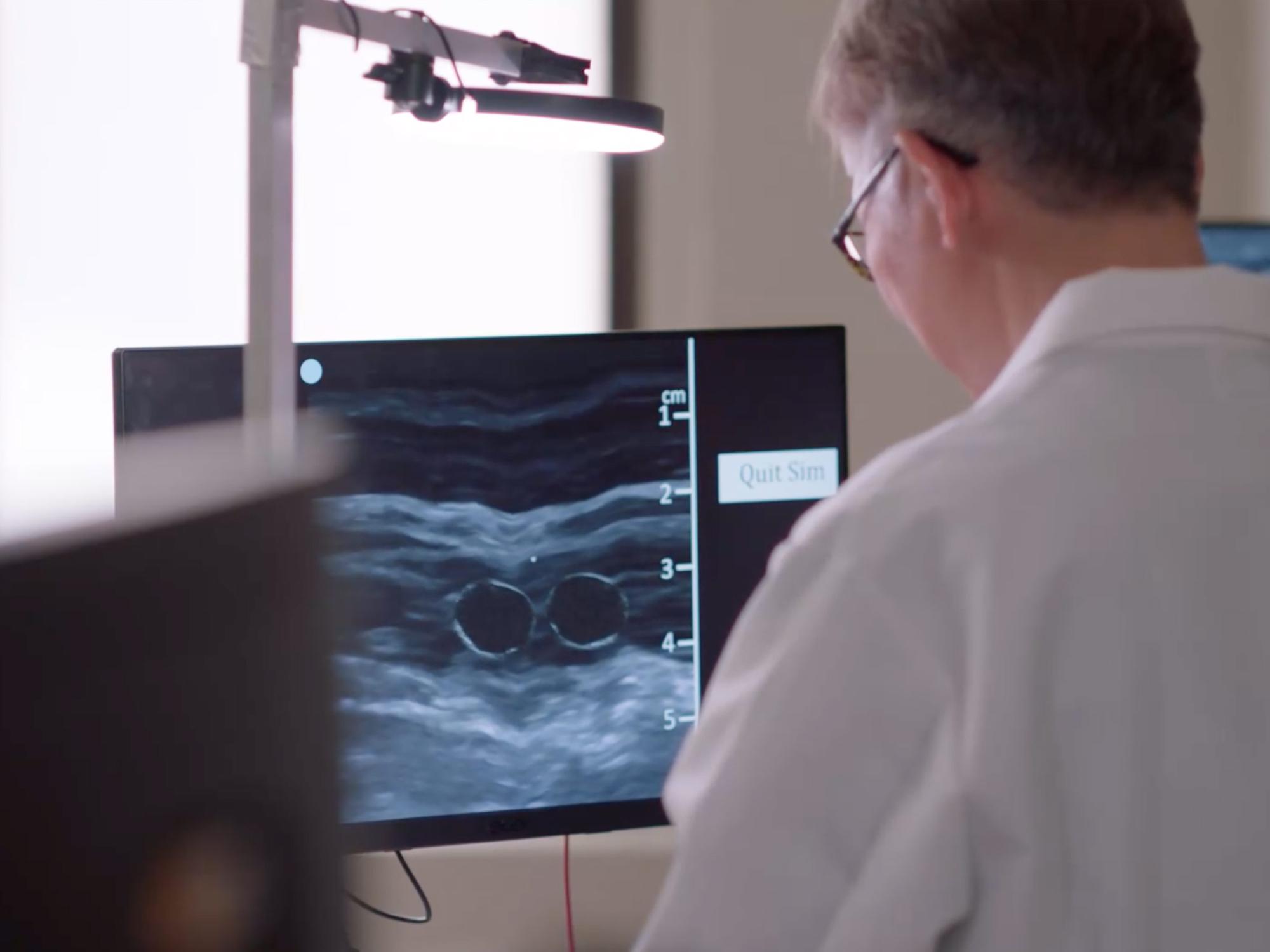 Student reviewing an ultrasound on a computer screen. 