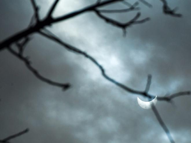 A cloudy sky with tree branch at foreground and crescent sliver of sun at rear.