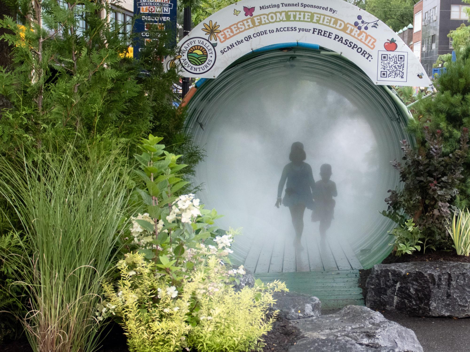 Mist Tunnel Arts Festival