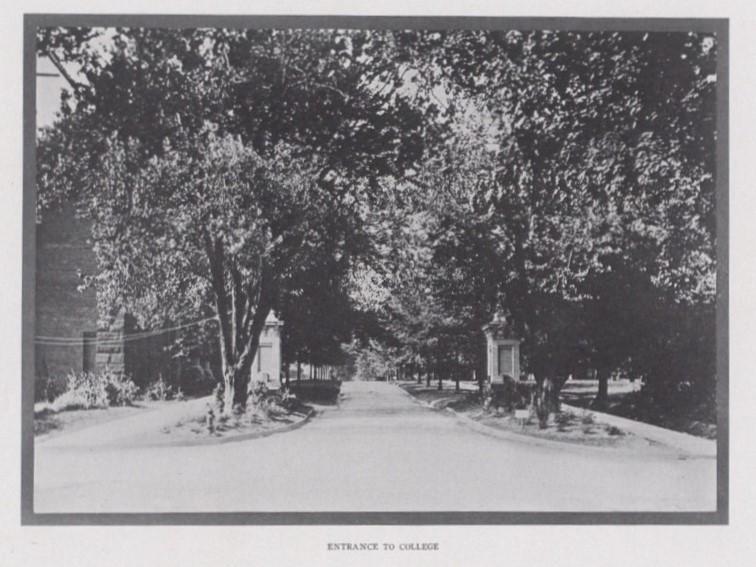 A black and white picture of two pillars with trees in front of them.