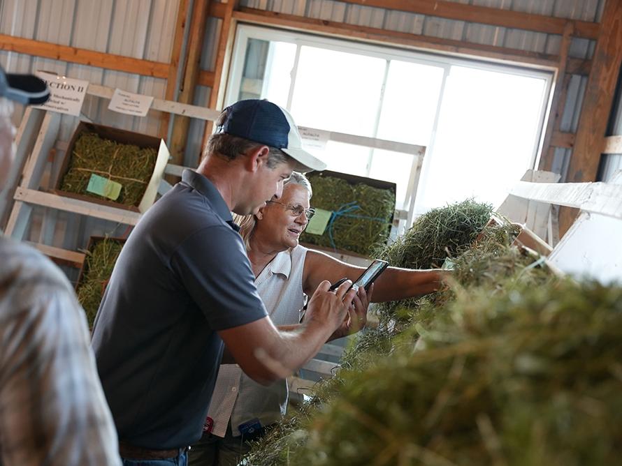 inspecting samples