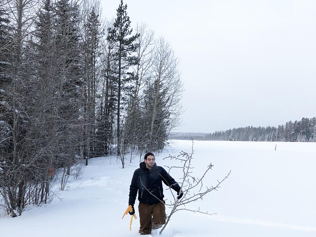 Person holding branches stands in snow. Trees are visible in the background. 