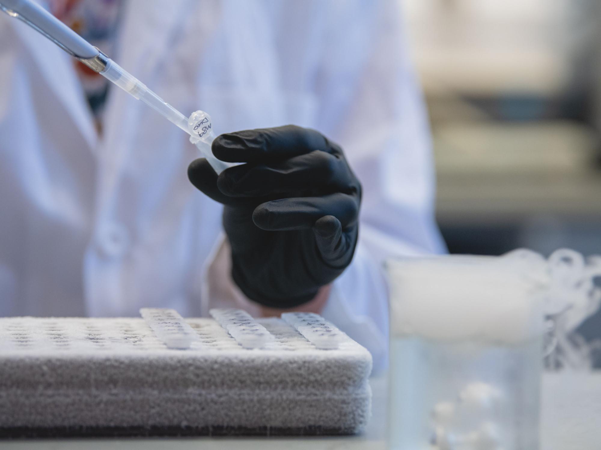 A person in a lab coat and gloves pipetting 