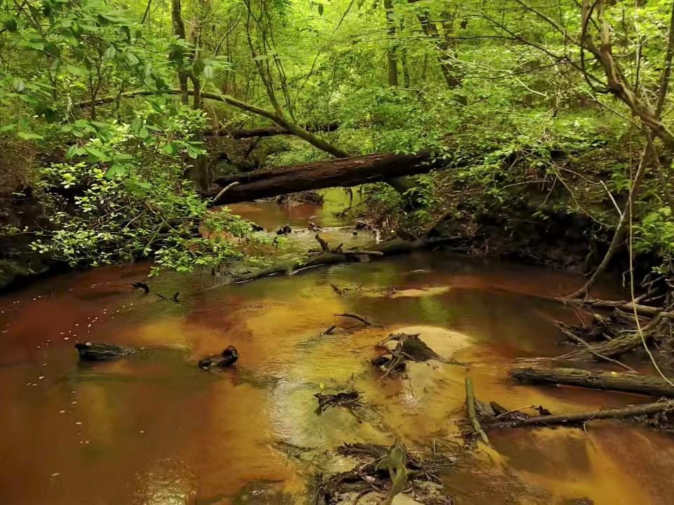 stream in Alabama  