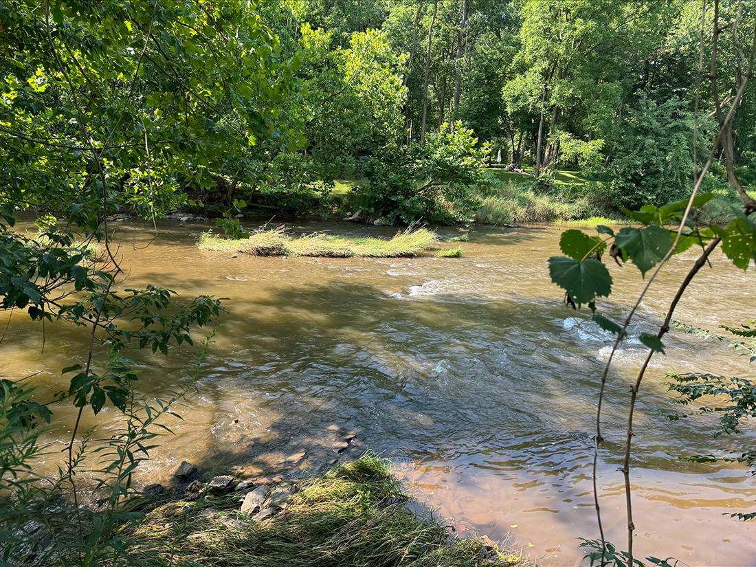 stream where sensor will be placed 
