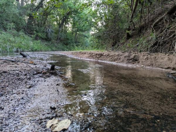 stream in Texas