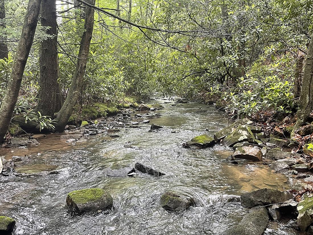 Pennsylvania stream