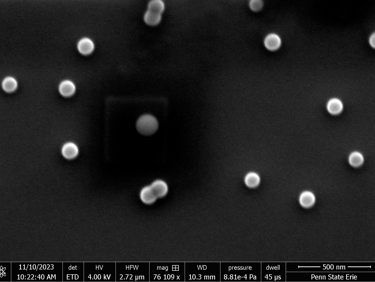 A black-and-white image of nanoplastics, captured on the ESEM at Penn State Behrend.