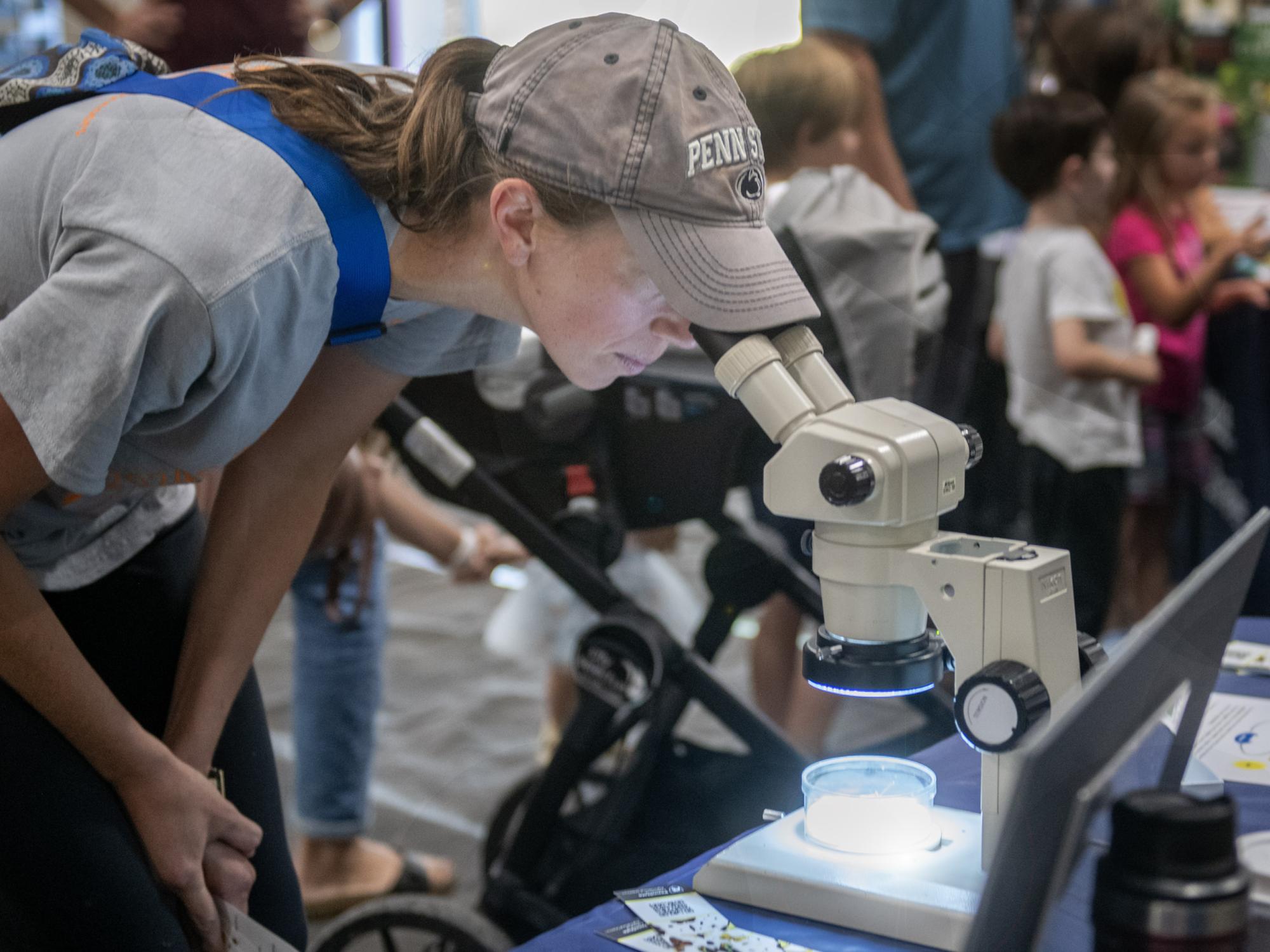 microscope at insect fair