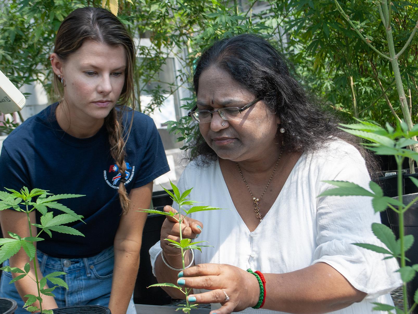 Two women look closely at a plant in a greenhouse