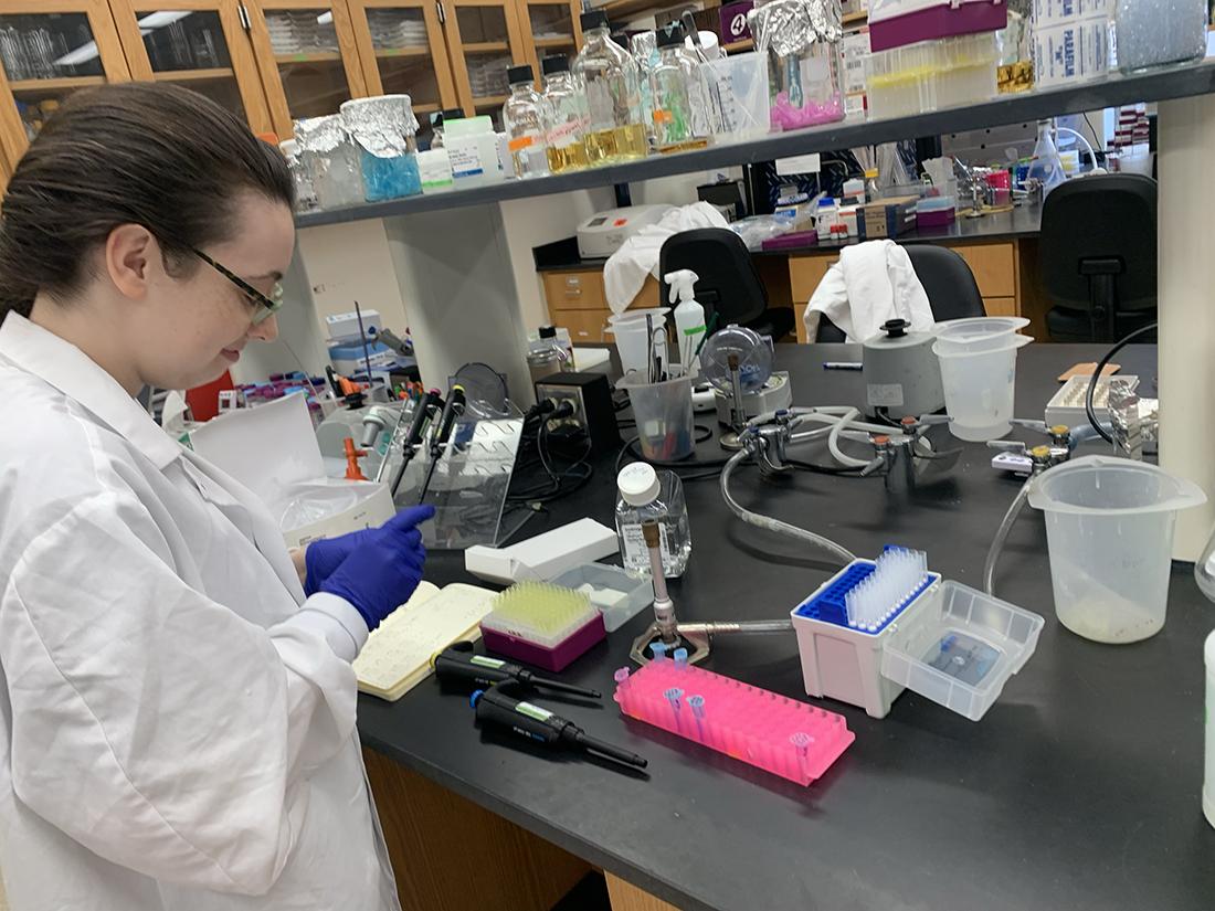 Person at a lab bench