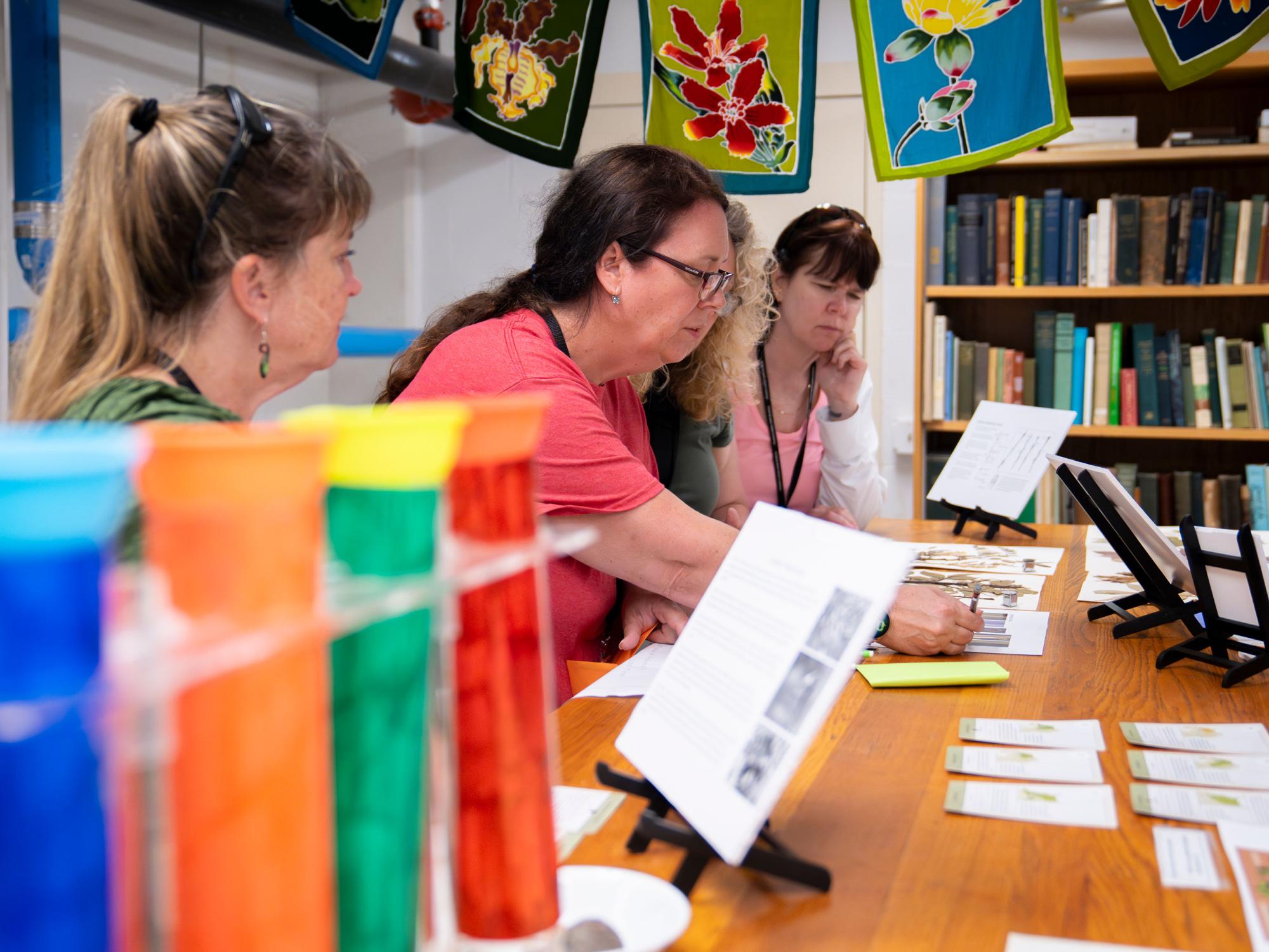 elementary school teachers participate in an escape room at the herbarium