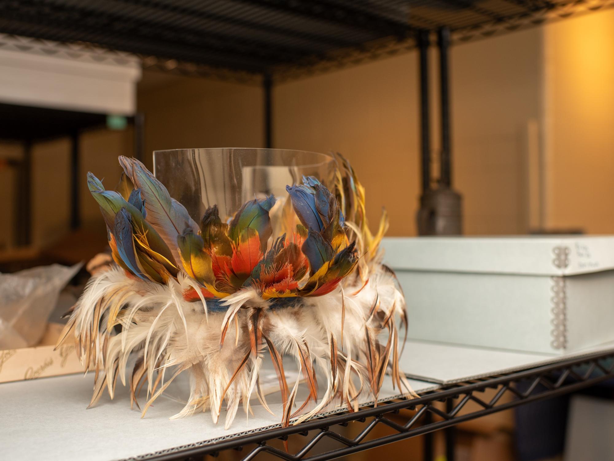 Pictured is a feathered headdress housed at the Matson Museum. 