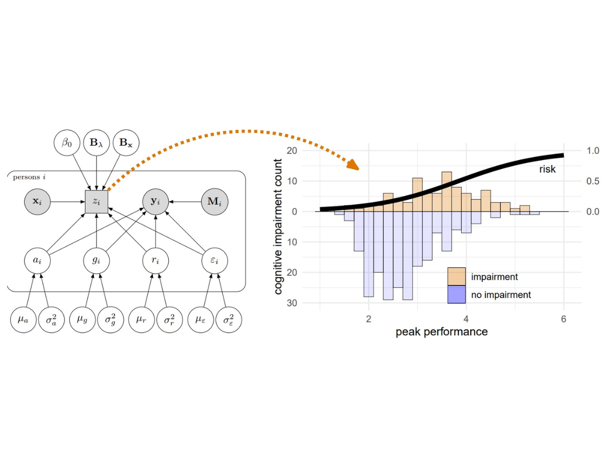  Shown on the left, a graphical visualization of a Bayesian computational model used for estimating risk functions for mild cognitive impairment, shown on the right. 