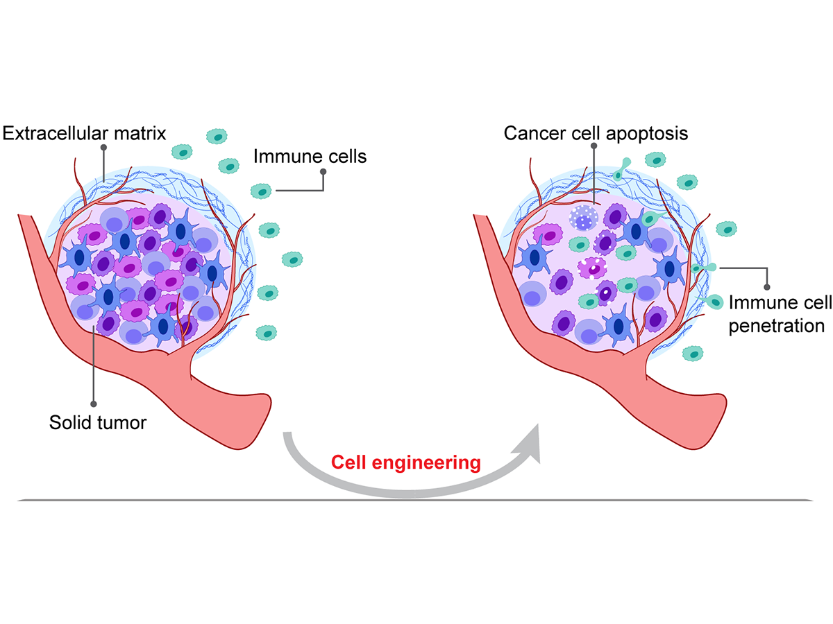 Drawing of solid tumor