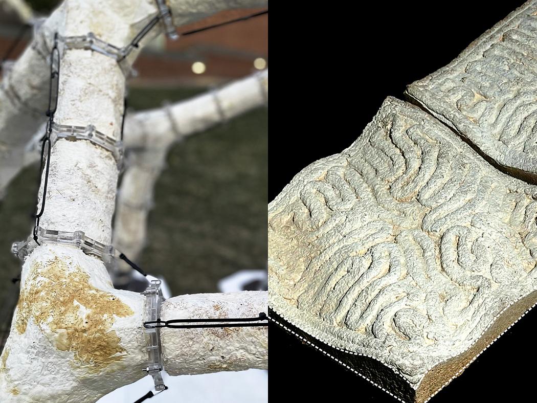 A split-screen image of a close-up view of the MycoCreate 2.0 structure and at right, two MycoPrint acoustic panels.