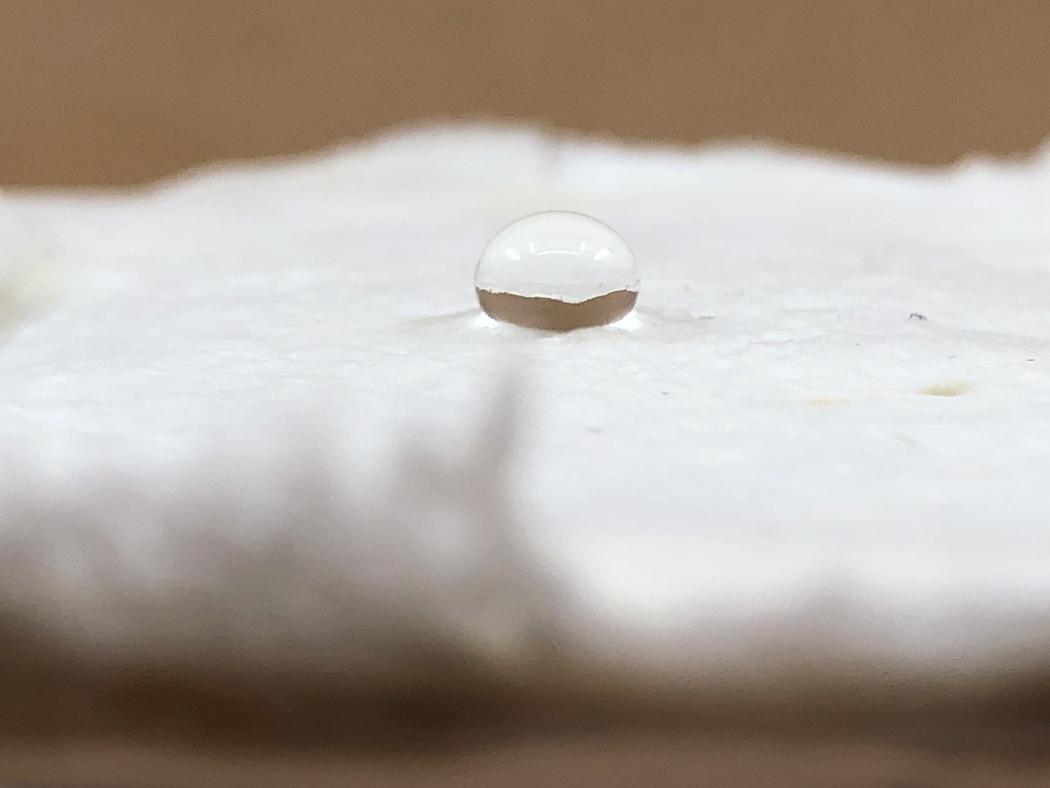 A close-up of a mycelium-based composite growing on a tension textile. 