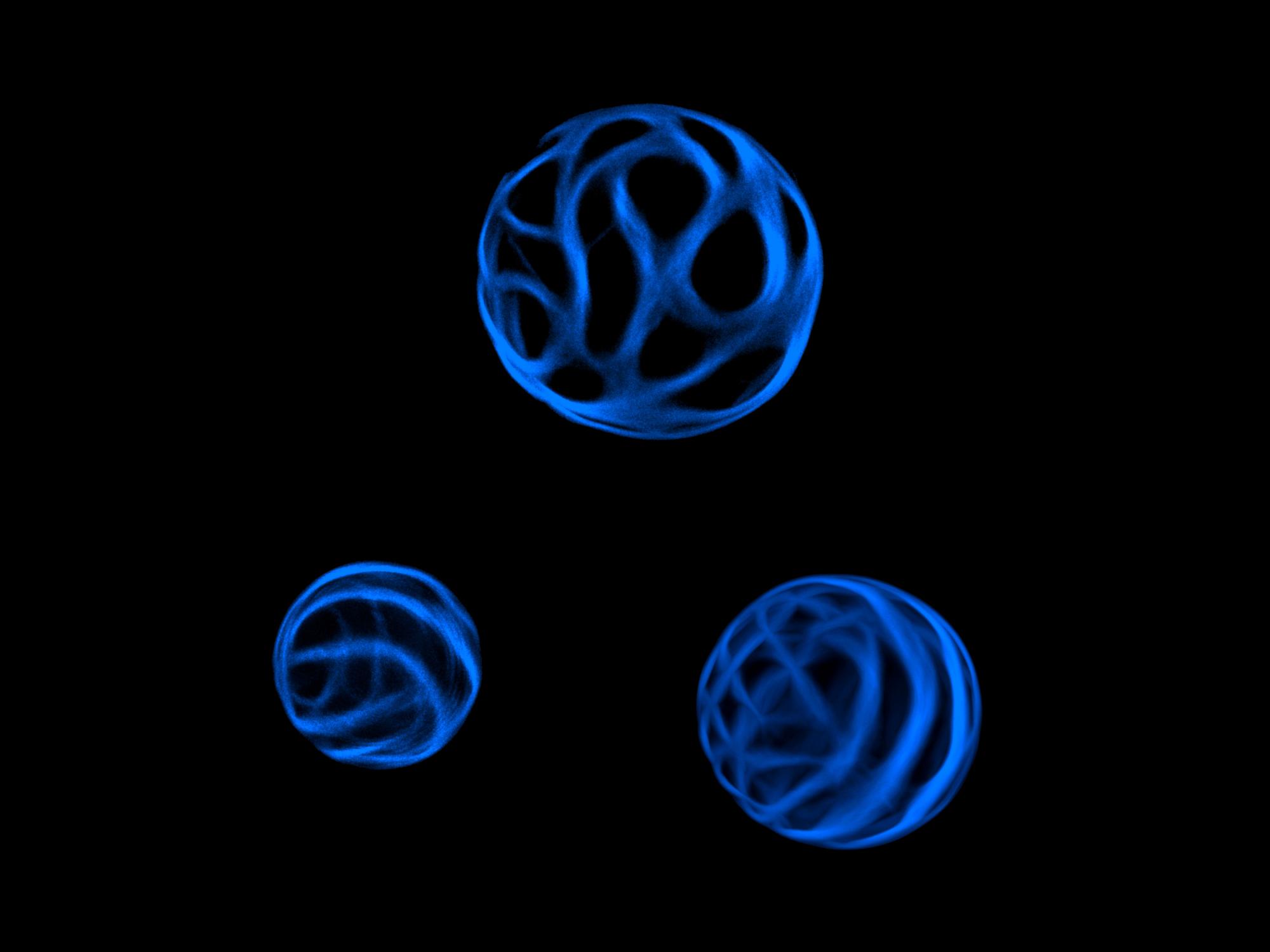 three florescent spheres demonstrate banding pattern in plant cells