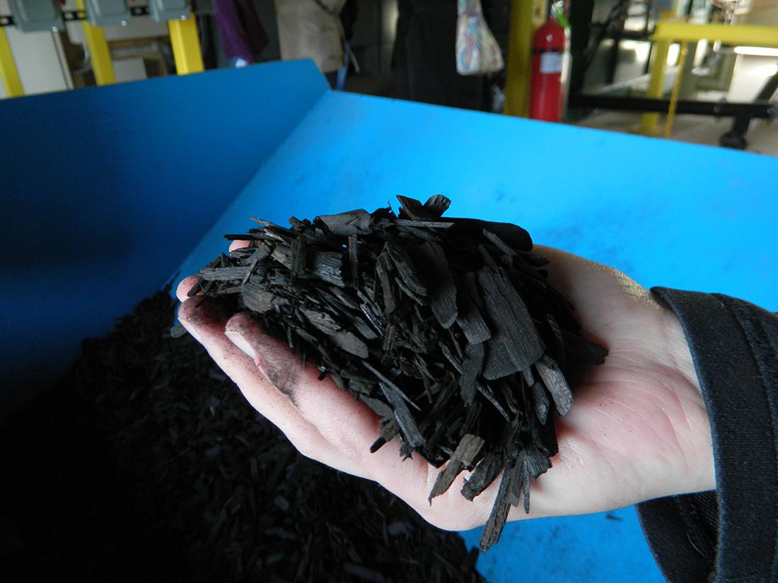 Hand holding biochar above blue bin