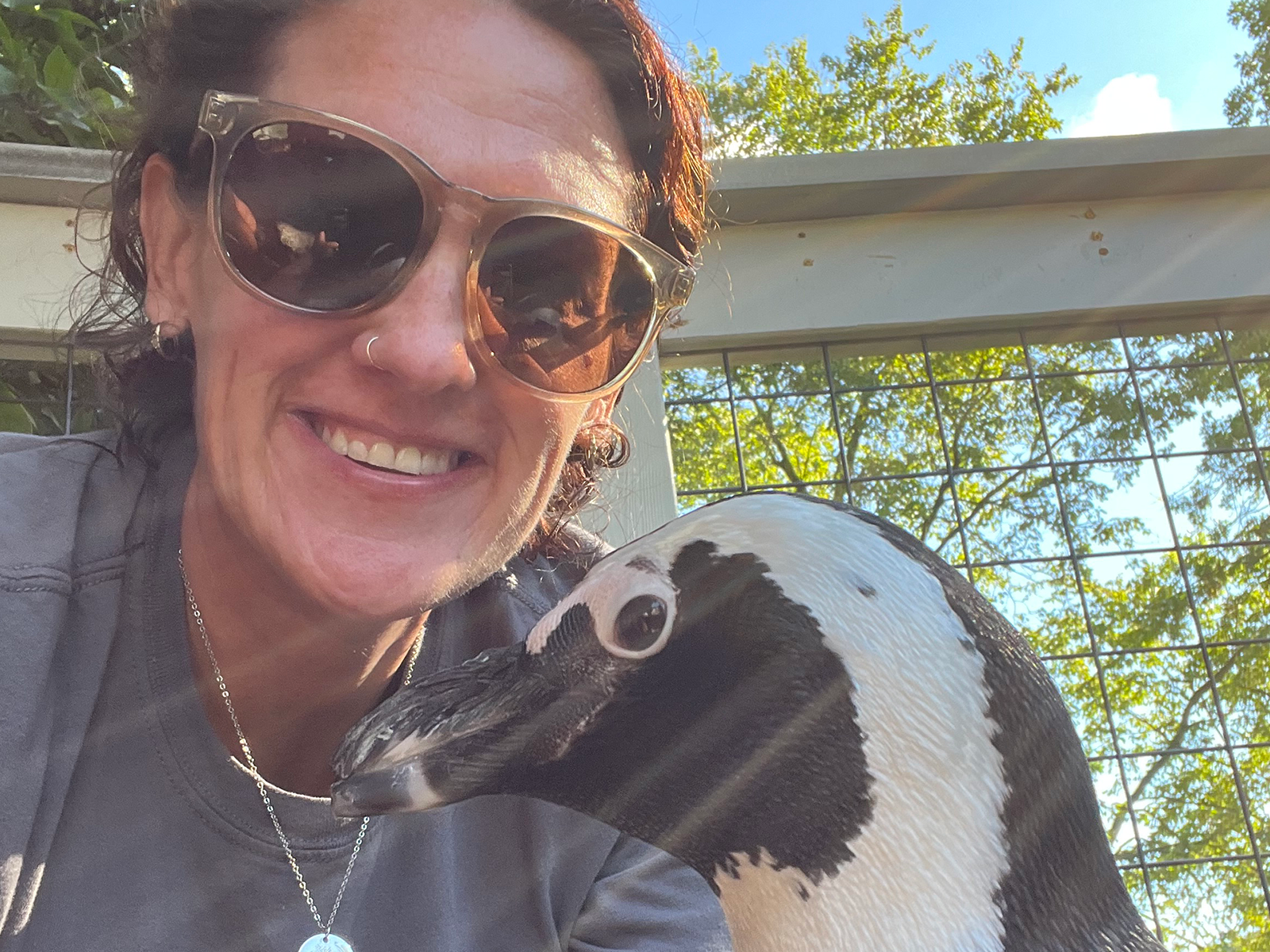 Cher Vatalaro with penguin