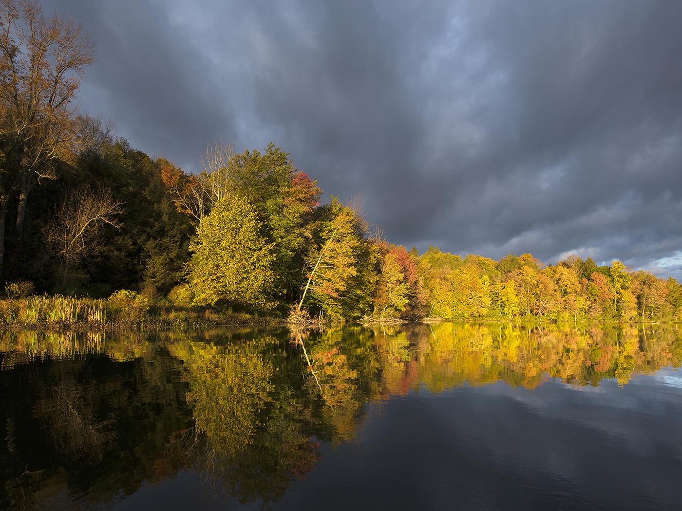 Lily Lake at Fullers Overlook
