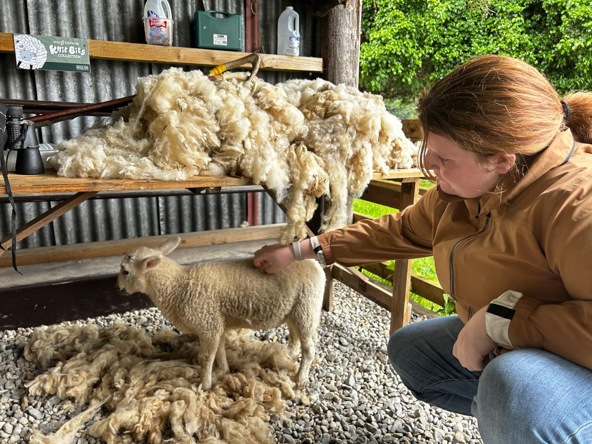 Teagan Mayr pets a sheep while visiting Wicklow in Dublin, Ireland.