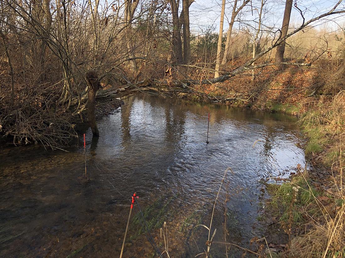 Spruce Creek tributary
