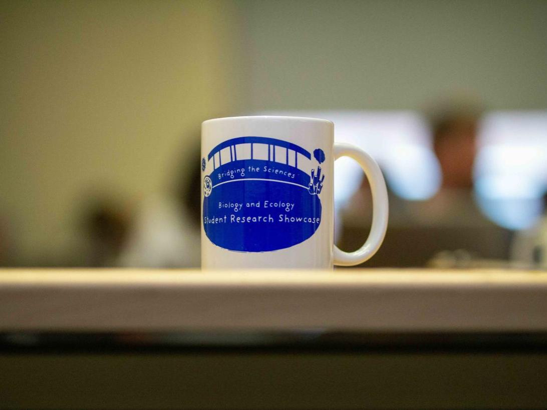 A custom mug is displayed during the podium session at the Biology and Ecology Student Research Showcase on Nov. 1, 2024.