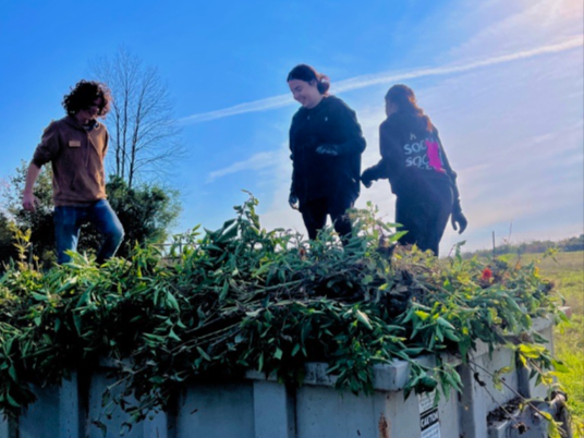 Three students in a dumpster with plants