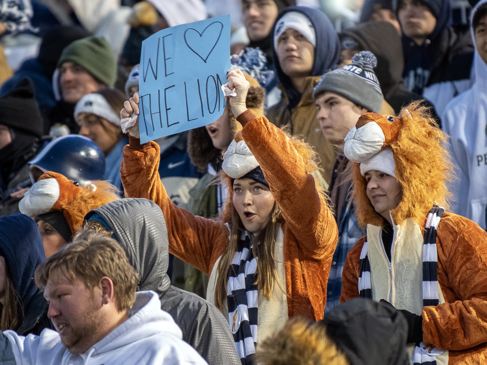 fans love the lion