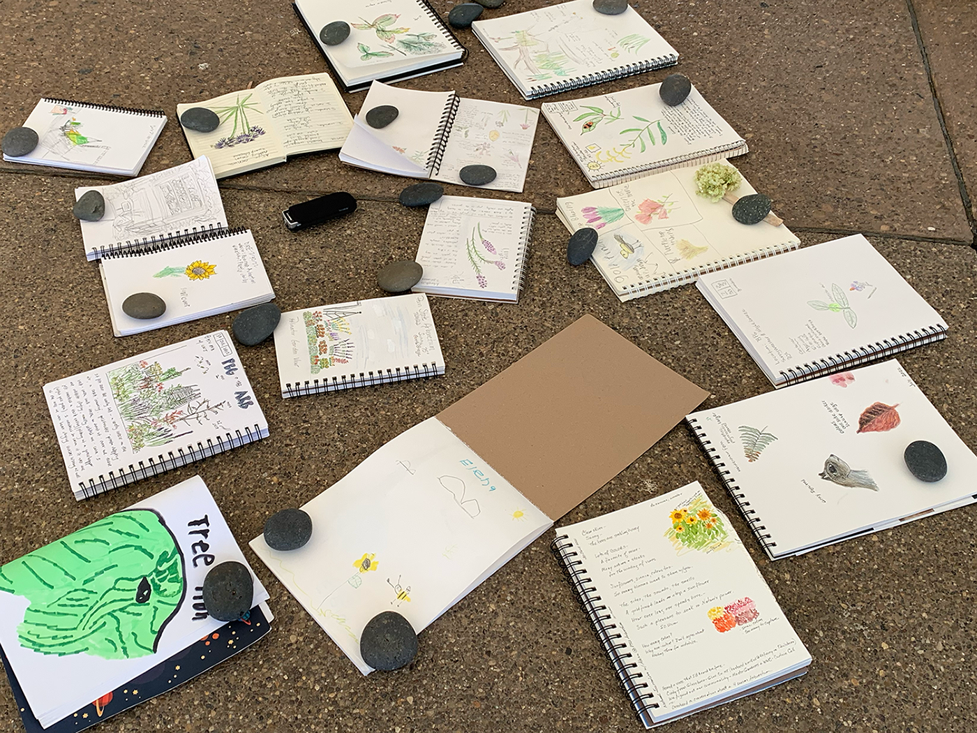 Journals with nature writings and drawings