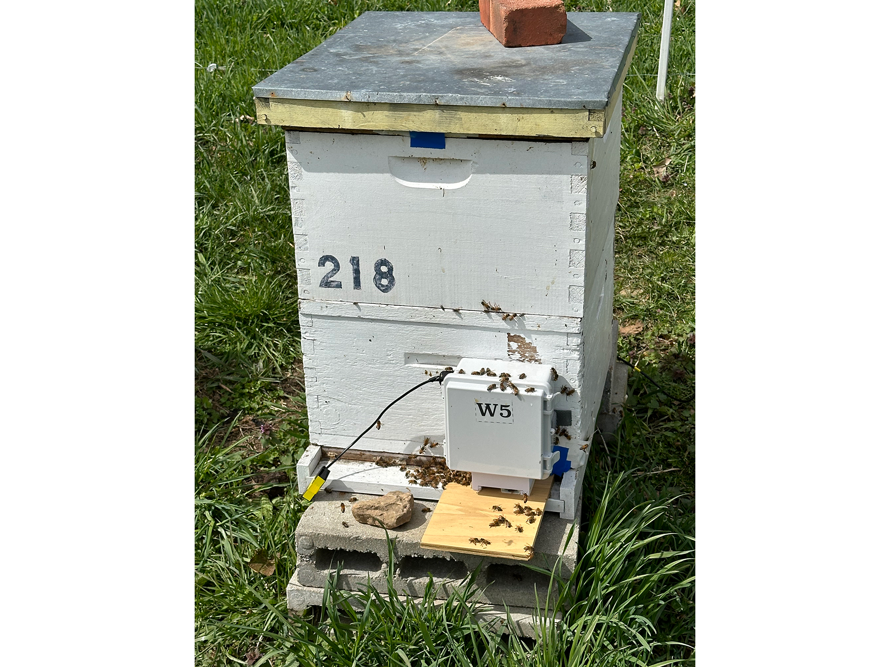 Gray box in a field