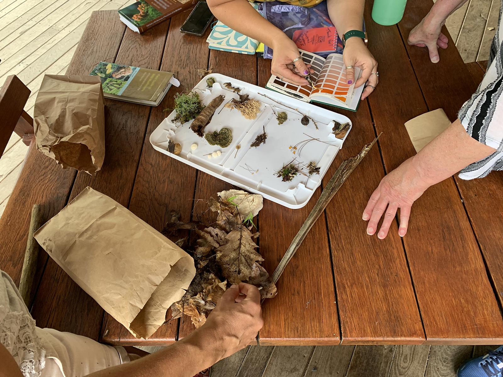 People nature journaling at an outdoor table