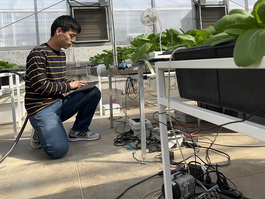 Person working in a greenhouse.