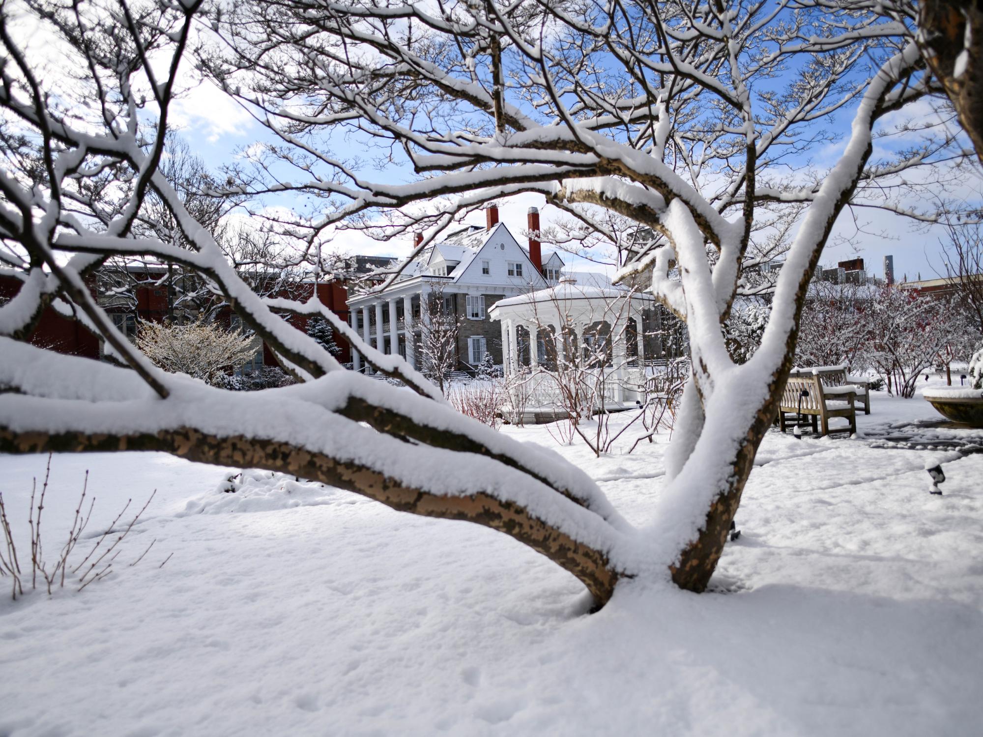 The Hintz Alumni Center in the background of a snow covered tree