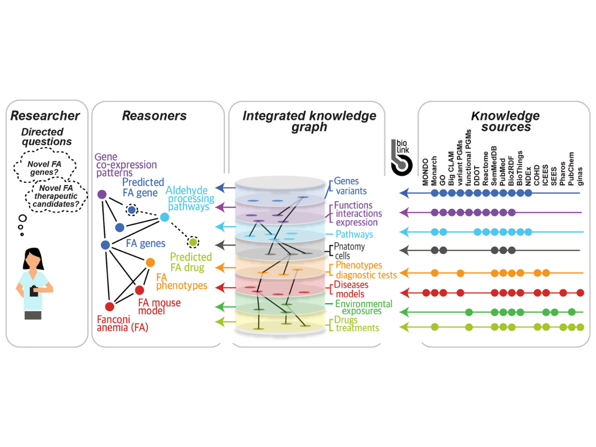 Biomedical Translator to Accelerate Patient Care