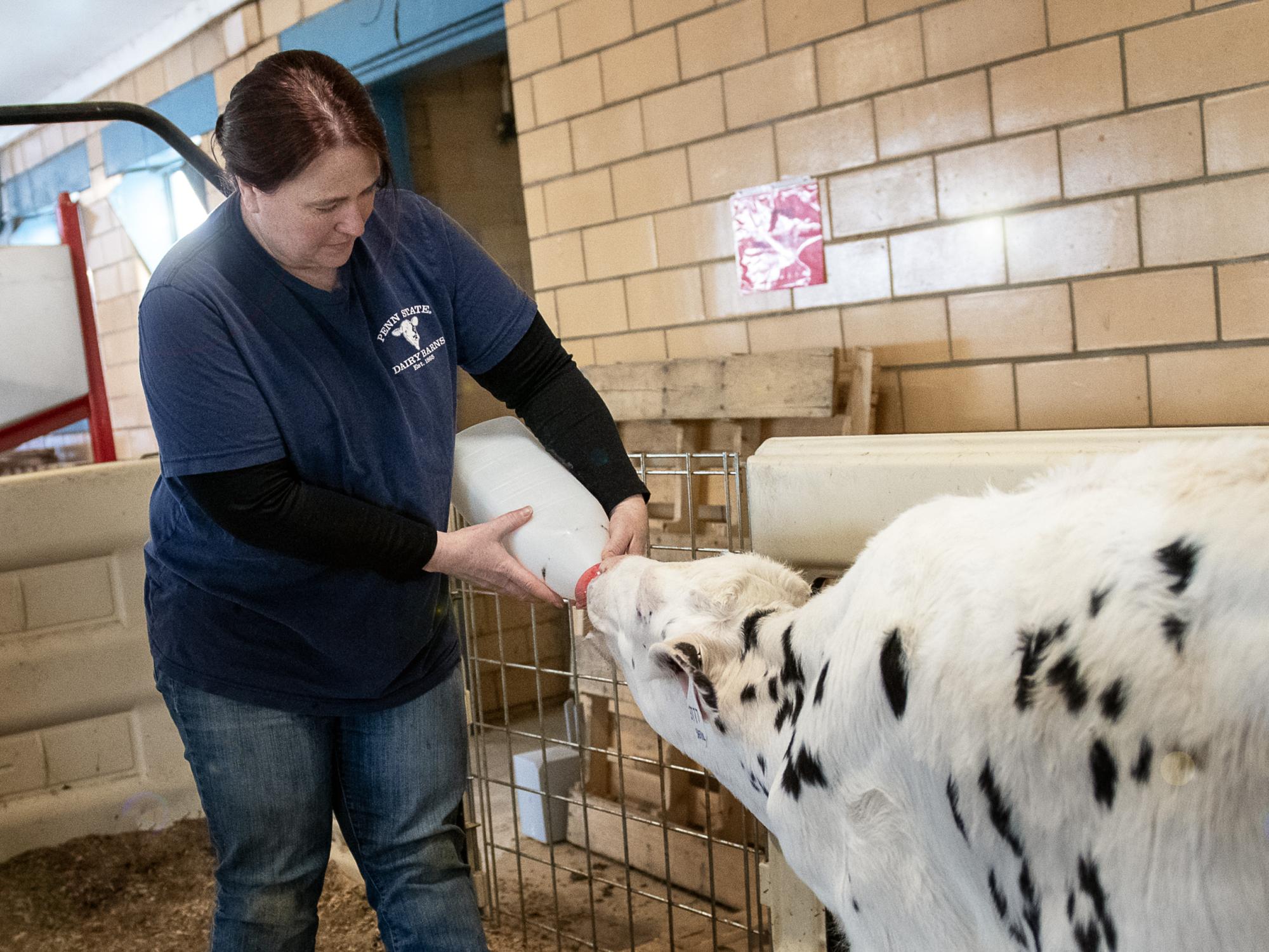 Nadine Houck Dairy Barns