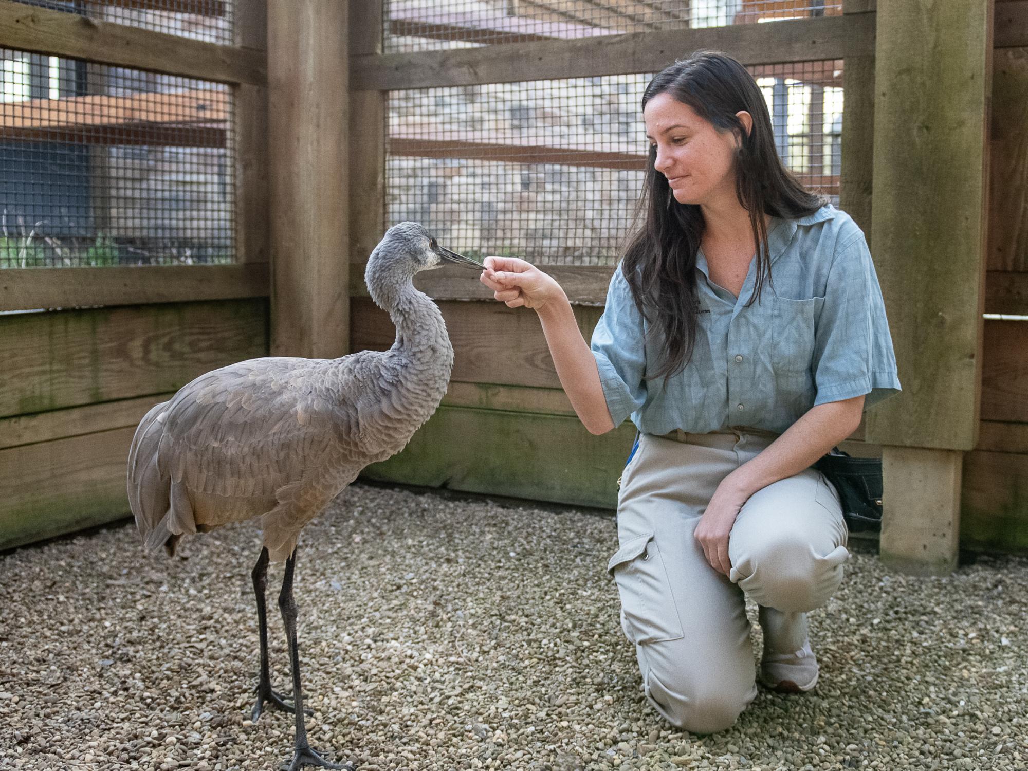 Paige Sutherland with Jane the Crane