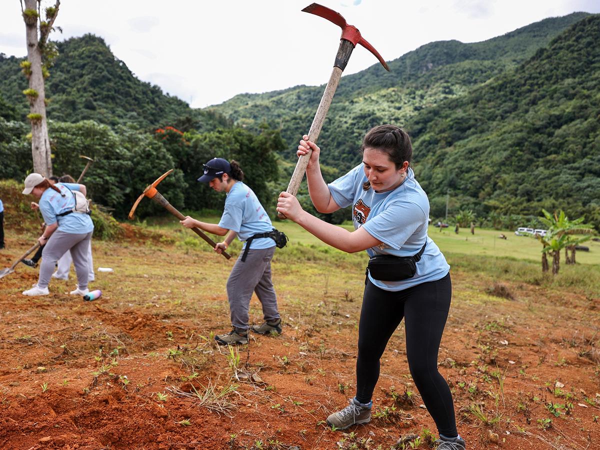 Students working on a farm