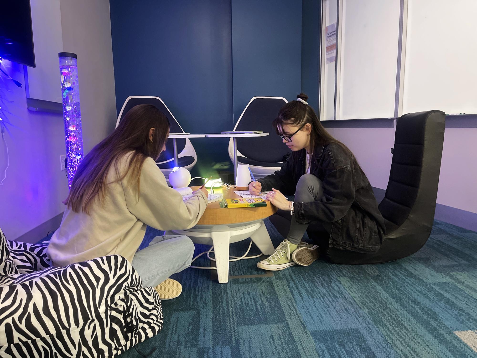 Two students engaging in activities in a physical sensory room.
