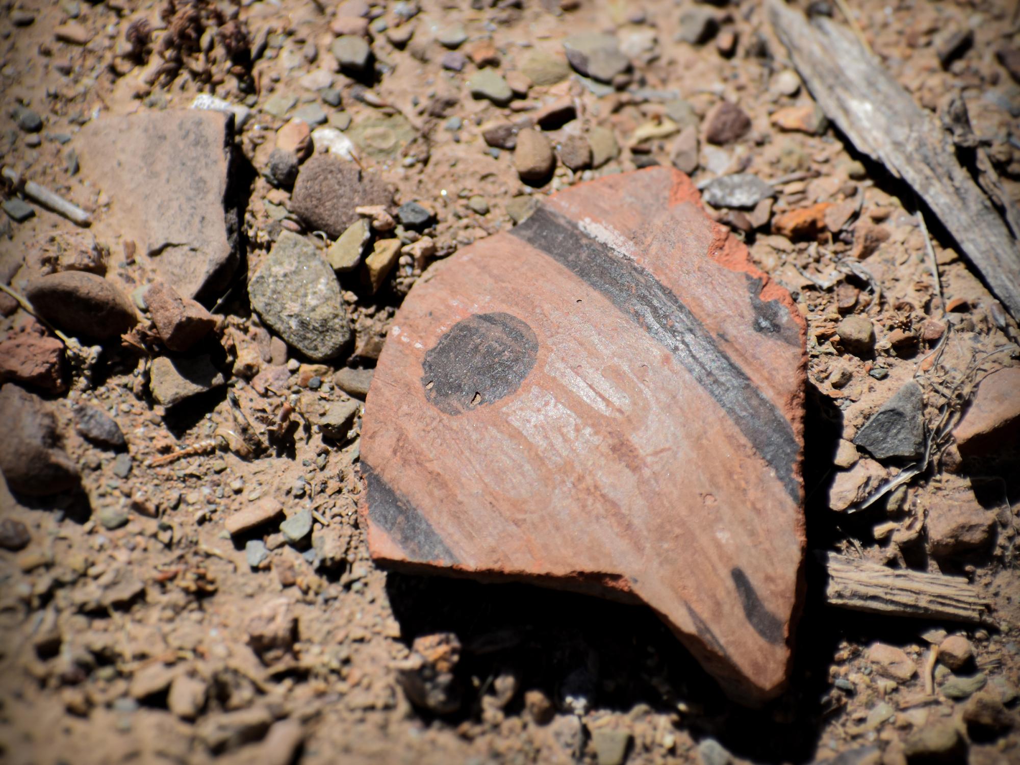 A fragment of a broken cup