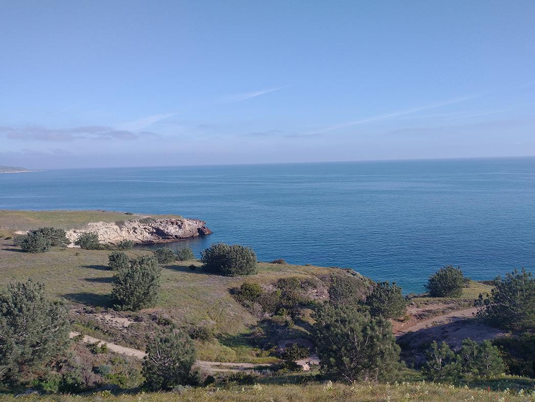 looking out to sea
